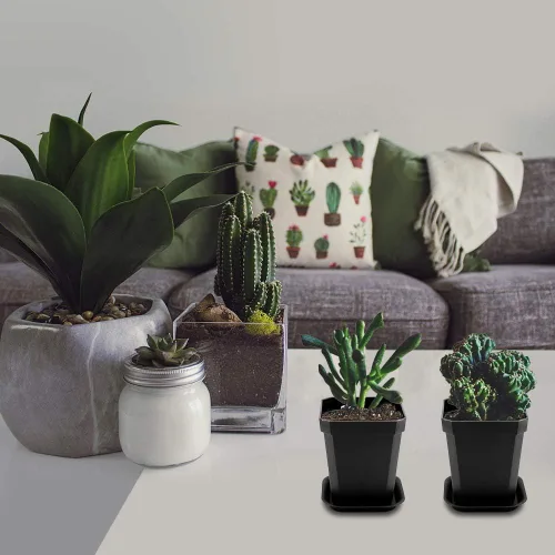 Miniatura 6 de Maceta de vivero de 3 pulgadas, 30 macetas de plástico grueso, macetas cuadradas para plantar, macetas de plántulas, macetas de inicio de semillas