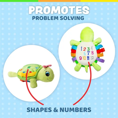 Miniatura 4 de Buckle Toys - Tortuga Belle - Actividad de aprendizaje - Desarrollar habilidades motoras y resolución de problemas - Contar y reconocimiento