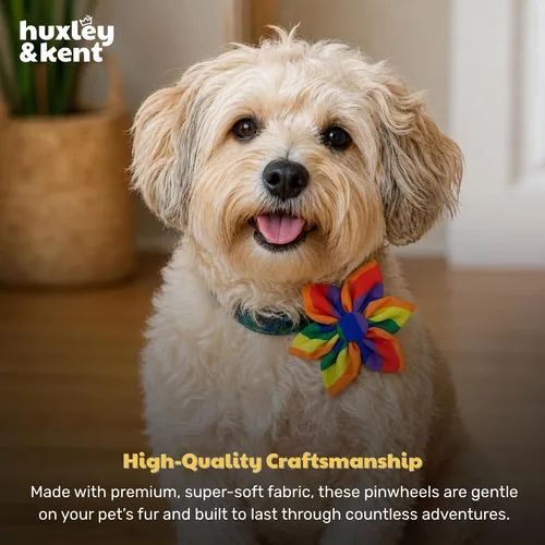 Miniatura 7 de Huxley & Kent Molinete para mascotas Igualdad (pequeño) Accesorio de collar de orgullo para perros/gatos Accesorio para mascotas divertido