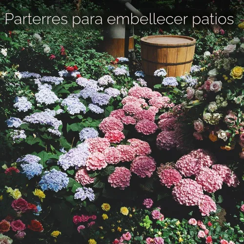 Miniatura 6 de Gardeners Basics, paquetes de semillas de flores para plantar 35 variedades individuales perennes, anuales, semillas de flores silvestres