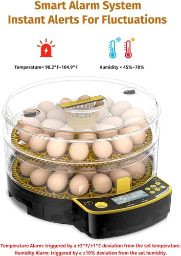 Miniatura 3 de JUJOJB Incubadora de 48 huevos para incubar huevos, doble capa con girador automático de huevos, control de temperatura y humedad, vela de huevos