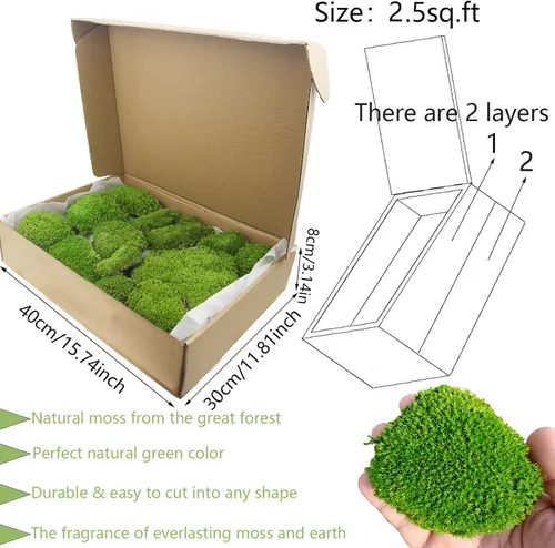 Miniatura 2 de FAICOIA Almohada de musgo preservado a granel verde natural preservado para plantas en maceta, 2.5 pies cuadrados, bolas de musgo verde