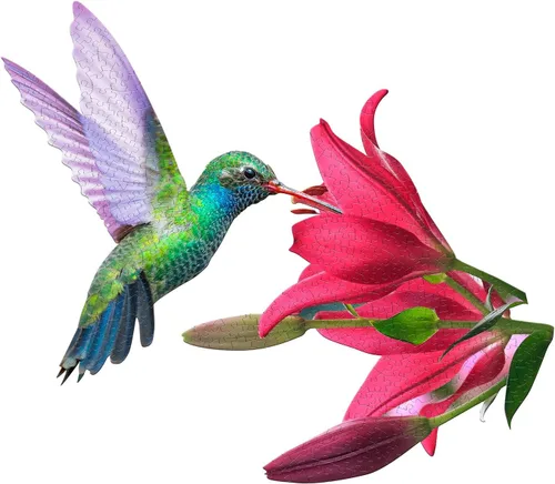 Miniatura 6 de Madd Capp I Am Hummingbird - Rompecabezas de 300 piezas en forma de pájaro, multicolor