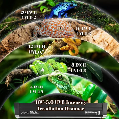 Miniatura 3 de Bombilla de Luz UVB para Reptiles T5 de 12.5 Pulgadas con Accesorio de Bulbo UVB 5.0 de Alta Salida para Terrarios, Reptiles Tomando Sol, Lagartos