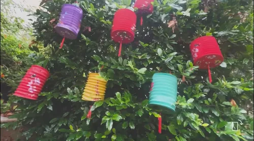 Miniatura 2 de 5 linternas de papel con luces LED, Día de San Valentín, Año Nuevo, chino, primavera, festival, 6.3 pulgadas, faroles de iluminación colgantes