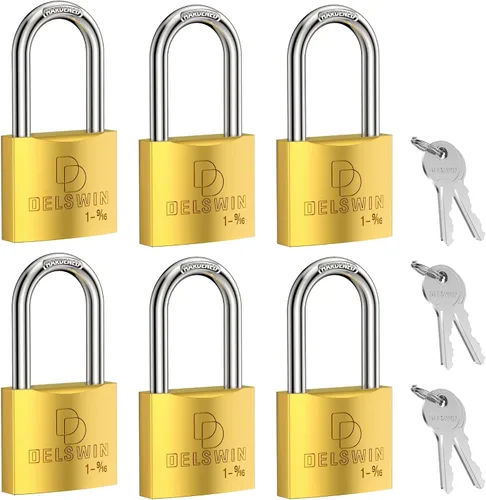 DELSWIN Candado resistente a la intemperie con llave (con llave similar) – Cerradura de casillero de latón macizo resistente con grillete largo de 6