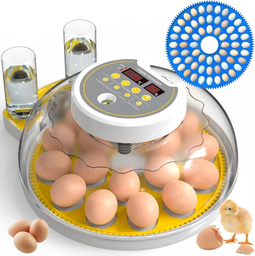 Miniatura 8 de Incubadora de huevos de 18/60 con pantalla de humedad, incubadoras para incubar huevos, vela de huevos, girador automático de huevos, incubadora