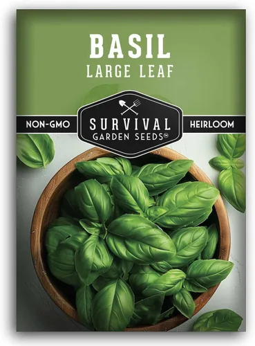 Survival Garden Seeds - Semilla de albahaca de hoja grande para plantar - Paquete con instrucciones para plantar y cultivar plantas de albahaca