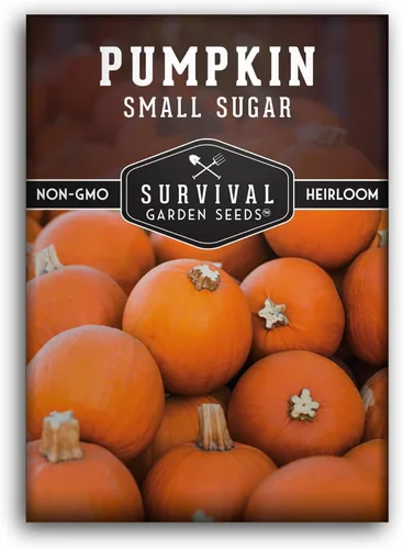 Survival Garden Seeds - Semillas pequeñas de calabaza de azúcar para plantar - 1 paquete con instrucciones para cultivar calabazas de pastel en el