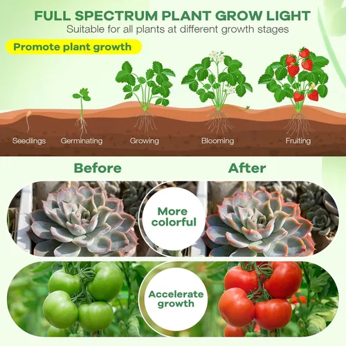 Miniatura 4 de Luces LED de cultivo, luz de planta de espectro completo con 4 cabezas y abrazadera para plantas de interior y arranque de semillas, 10 niveles
