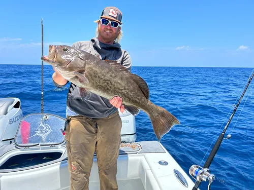 Miniatura 8 de Fitzgerald Stunner HD Saltwater Offshore Spinning Rod Series Pesca Pesca Pesca