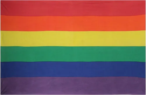 Sunshine Joy Tapiz del orgullo gay, sábana de playa, colcha para colgar en la ventana (60 x 90 pulgadas)