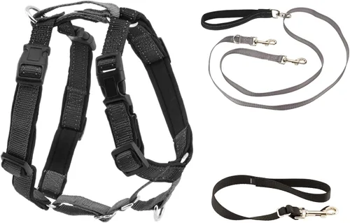 PetSafe Arnés 3 en 1 con correa de control de dos puntos, arnés sin tirones, pequeño, negro, ajustable
