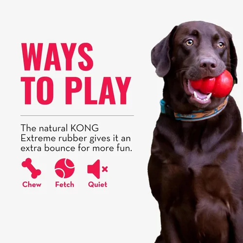 Miniatura 4 de KONG Bola extrema con agujero – Juguete de búsqueda – Juguete duradero para perros para entrenamiento, tiempo de juego interactivo y más – Pelota