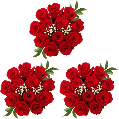 GlobalRose Ramo de 36 rosas rojas, rosas de origen responsable, flores frescas, ramo fresco de flores seleccionadas a mano para graduación, Rojo