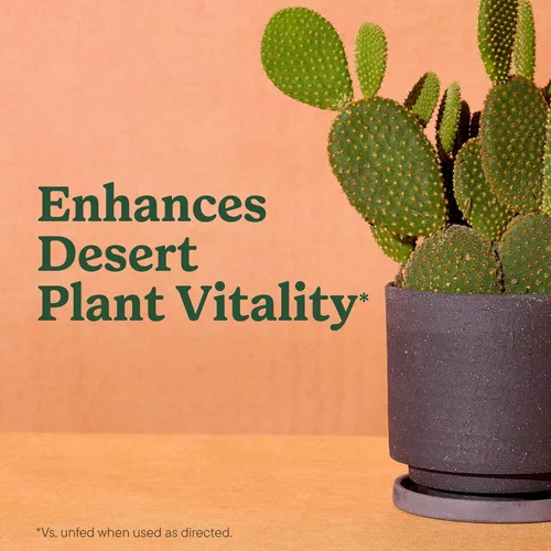 Miniatura 4 de Miracle-Gro Mezcla para macetas de interior para cactus y suculentas, mezcla para macetas de cactus y suculentas de drenaje rápido con alimentos