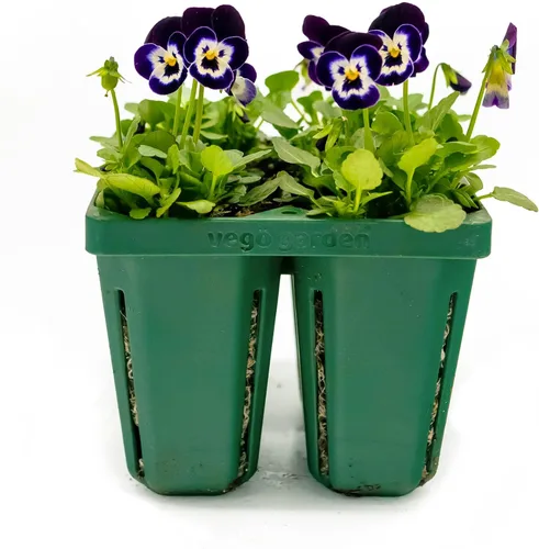 Vego garden Bandejas de plántulas jumbo sin tapas, paquete de 8 bandejas reutilizables para cultivar plantas más grandes, bandejas de germinación de
