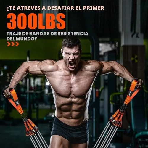 Miniatura 2 de HPYGN Bandas de Resistencia Pesada, Bandas de Ejercicio de 300LBS para Entrenamiento, Bandas de Fitness con Asas, Bandas de Entrenamiento