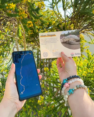 Miniatura 4 de Fahlo Pulsera de seguimiento de tortuga marina, elástica, soporta la conservación de tortugas marinas, talla única para hombres y mujeres, Piedra