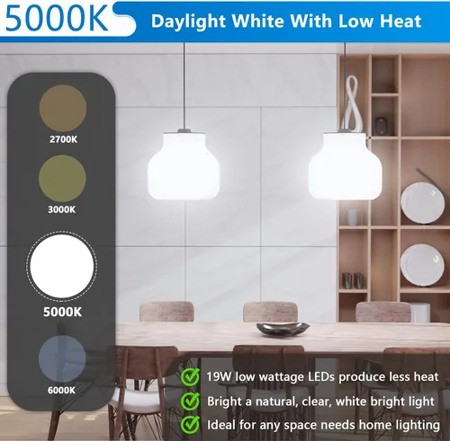 Miniatura 3 de Bombillas LED Maylaywood A21, bombilla LED equivalente a 150 W, luz diurna blanca 5000K, 2600 lm, base E26, no regulable, bombilla LED blanca