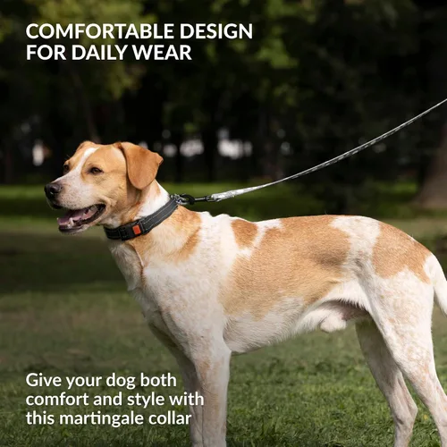 Miniatura 5 de CollarDirect Martingale - Collar para perro con cadena de acero inoxidable y hebilla de liberación rápida, collar reflectante para perros grandes