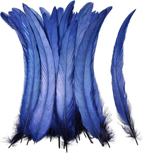 Miniatura 23 de iHUFeather Plumas de cola de gallo naturales, 50 plumas de cola de gallo de 10 a 12 pulgadas de largo, a granel para manualidades, disfraces