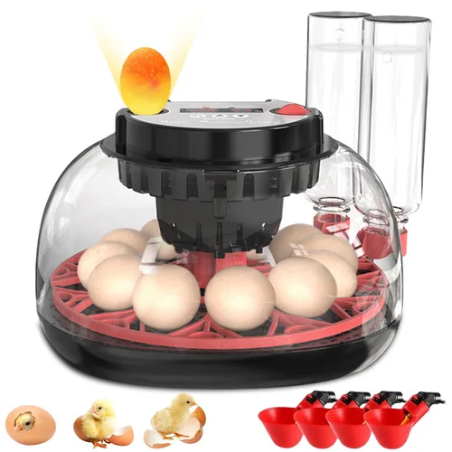 Incubadora de 12 huevos con girador automático, vela incorporada y pantalla de humedad | Adecuado para incubar pollo, pato, codorniz
