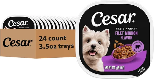 Cesar Filetes en Salsa, Comida Húmeda para Perros Adultos, Sabor Filete Mignon, Comida Húmeda para Perros, Bandejas de 3.5 onzas, 24 Unidades