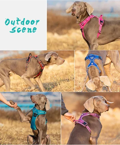 Miniatura 6 de TRUE LOVE Arnés para perro sin tirones de nylon reflectante para mascotas ajustable, control cómodo, colores brillantes Truelove TLH56512 Marrón