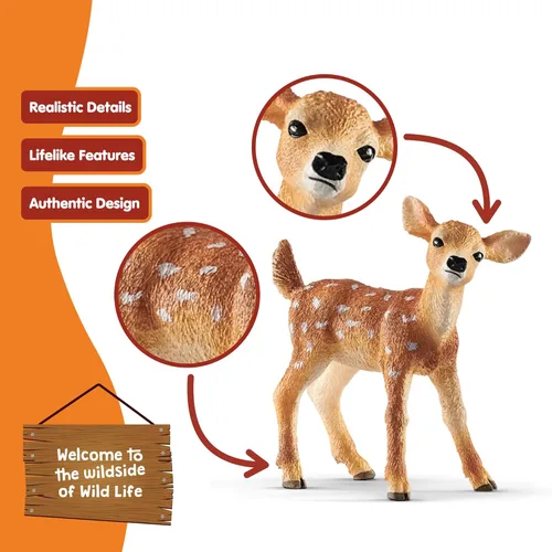 Miniatura 3 de Schleich Wild Life - Figura realista de ciervo de cola blanca auténtica y altamente detallada - Juguete de animal salvaje duradero para educación