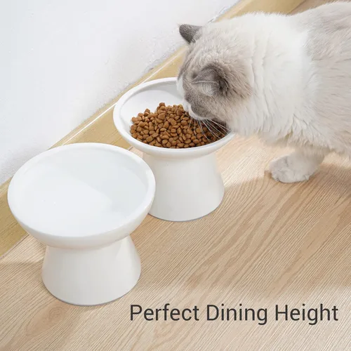 Miniatura 6 de CEEFU Cuenco de agua elevado extra ancho de cerámica para gatos, plato de 6.2 pulgadas más profundo para aliviar la fatiga de los bigotes, 5 Blanco