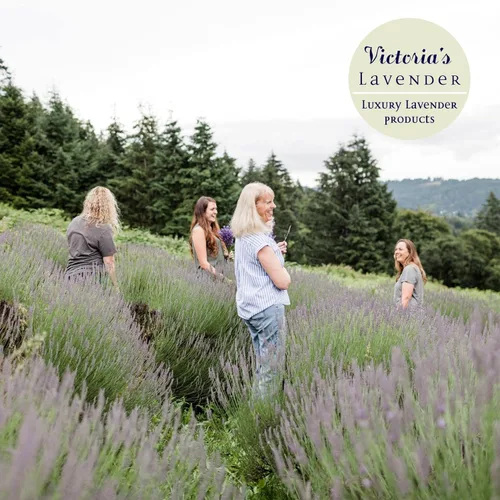 Miniatura 5 de Victoria's Lavender Spray de habitación, espray totalmente natural para el hogar, ambientador concentrado de aceite esencial, eliminador de olores