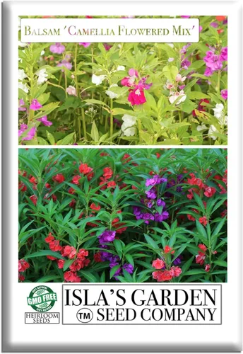 Semillas de flores de bálsamo 'Camellia Flowered Mix' para plantar, más de 100 semillas por paquete, semillas de jardín de Isla (semillas de jardín