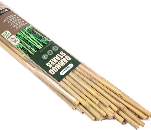 Miniatura 12 de Cambaverd Varillas de bambú para plantas, estacas de bambú de 2 pies para jardinería interior, estacas para plantas en maceta, mini árboles, estacas