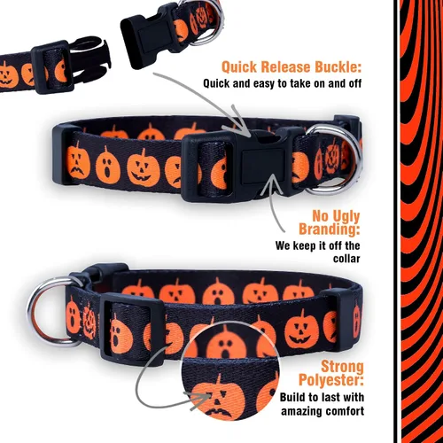 Miniatura 4 de Native Pup Collar de Perro de Halloween - Collares de Disfraz de Terror con Temática Espeluznante de Otoño - Calavera, Calabaza, Fantasma, Calabazas