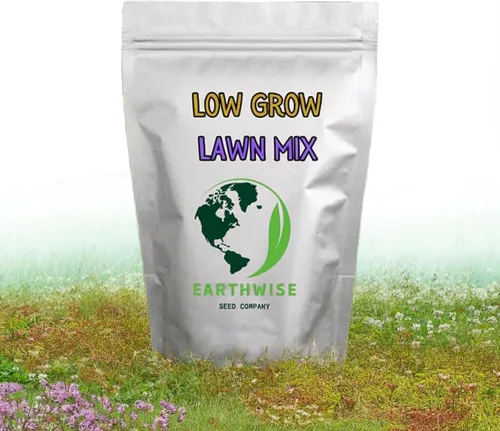 Miniatura 2 de Earthwise - Semillas de césped de bajo crecimiento sin siega, mezcla de césped alternativa de trébol y festuca fina, orgánica, de bajo