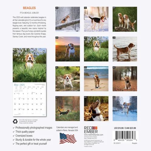 Miniatura 2 de RED EMBER Beagles - Calendario de pared 2025 de 12 meses, 12 x 24 pulgadas, abierto, papel grueso y resistente, para regalo, calendario 2025