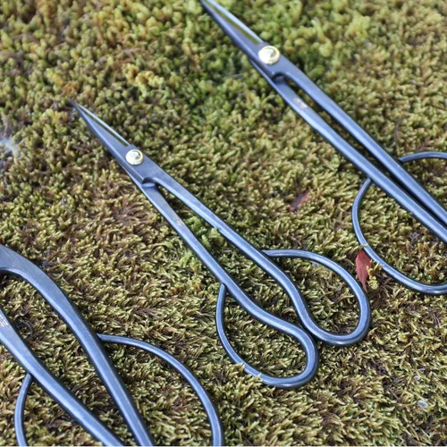 Miniatura 4 de KAKURI Satsuki - Tijeras de bonsái fabricadas en Japón de 7 pulgadas, hoja japonesa de acero al carbono, tijeras de bonsái de precisión para poda