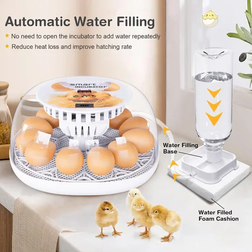 Miniatura 4 de Incubadoras para incubar huevos, incubadora de 12 huevos con giro automático y control de temperatura, adición automática de agua, candelero LED