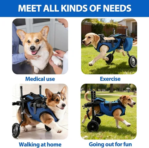 Miniatura 7 de Silla de ruedas para perros para patas traseras, silla de ruedas ligera y ajustable, carrito de apoyo completo para patas traseras, inconvenientes