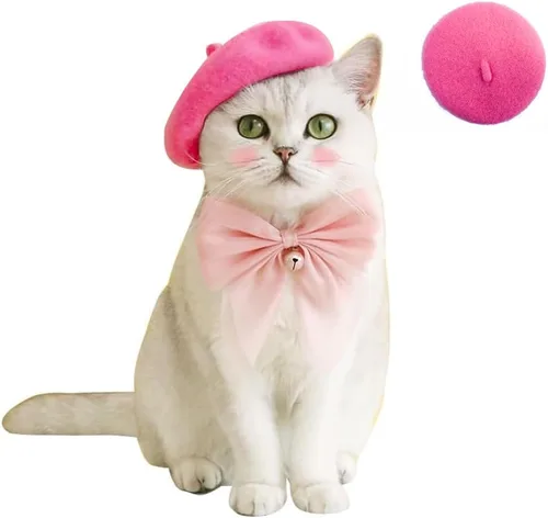 Gorras de boina para perro, gorras para gatos, moda de cuatro estaciones, divertidas, de lana, cómodas (rosa)