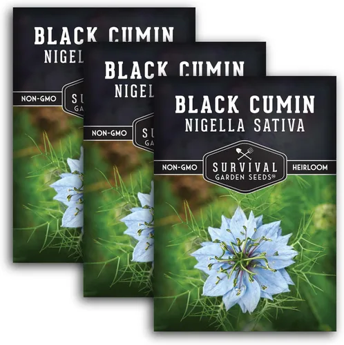 Miniatura 11 de Survival Garden Seeds Nigella Sativa Semillas de comino negro para plantar, 1 paquete Té medicinal de semillas negras y especias culinarias