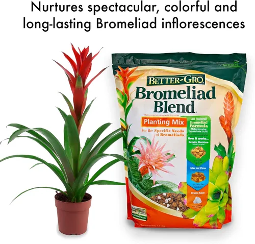 Miniatura 5 de Better-Gro Mezcla de bromelia 8 cuartos