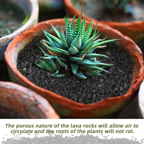 Miniatura 3 de Rocas de lava negras de 2.4 libras para plantas, suelo de roca volcánica hortícola de lava para drenaje de plantas de paisajismo, pequeña grava