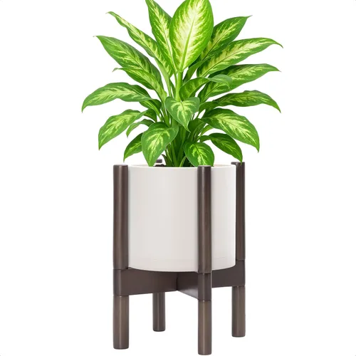 Miniatura 27 de Maceta de D'vine Dev con soporte - Maceta de flores de cilindro de plástico de 8.0 pulgadas con soporte de madera para interiores, maceta mate negra