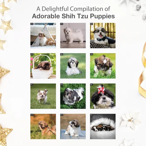 Miniatura 3 de RED EMBER Shih Tzu Puppies 2026 Calendario de pared de 12 meses 12 x 24 pulgadas abierto Papel grueso y resistente Regalo de vacaciones