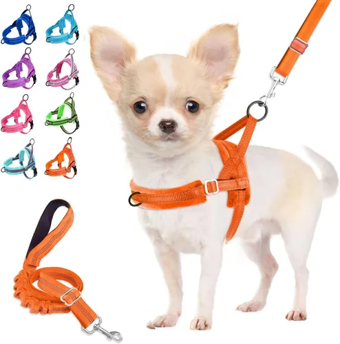 Arnés para perro Lukove sin tirón y juego de correa, arnés suave acolchado para perros pequeños, arnés reflectante ajustable en cuello y pecho para
