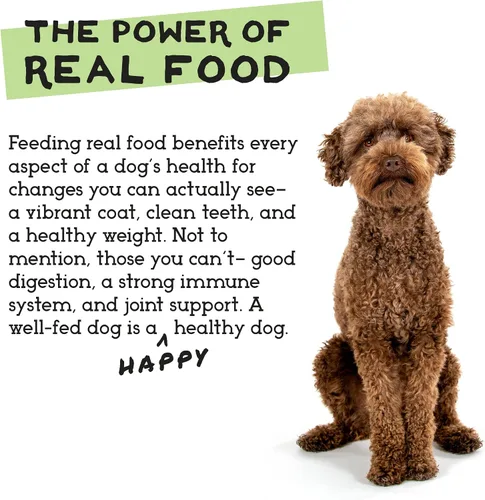 Miniatura 7 de Simple Food Project The Freeze Dried Raw Dog Food Topper con ingredientes orgánicos de grado humano