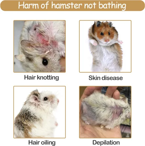 Miniatura 4 de Arena de baño de hámster, arena natural sin polvo, arena de baño, arena del desierto, flor perfumada, arena limpia para orinal para animales