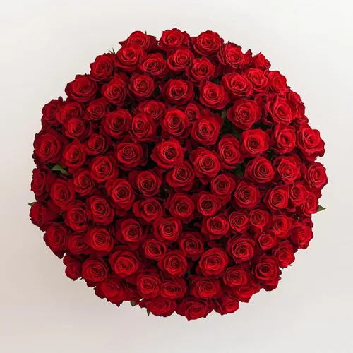 Miniatura 18 de GlobalRose Ramo de 50 rosas surtidas, rosas de origen responsable, flores frescas, ramo fresco de flores seleccionadas a mano para el día